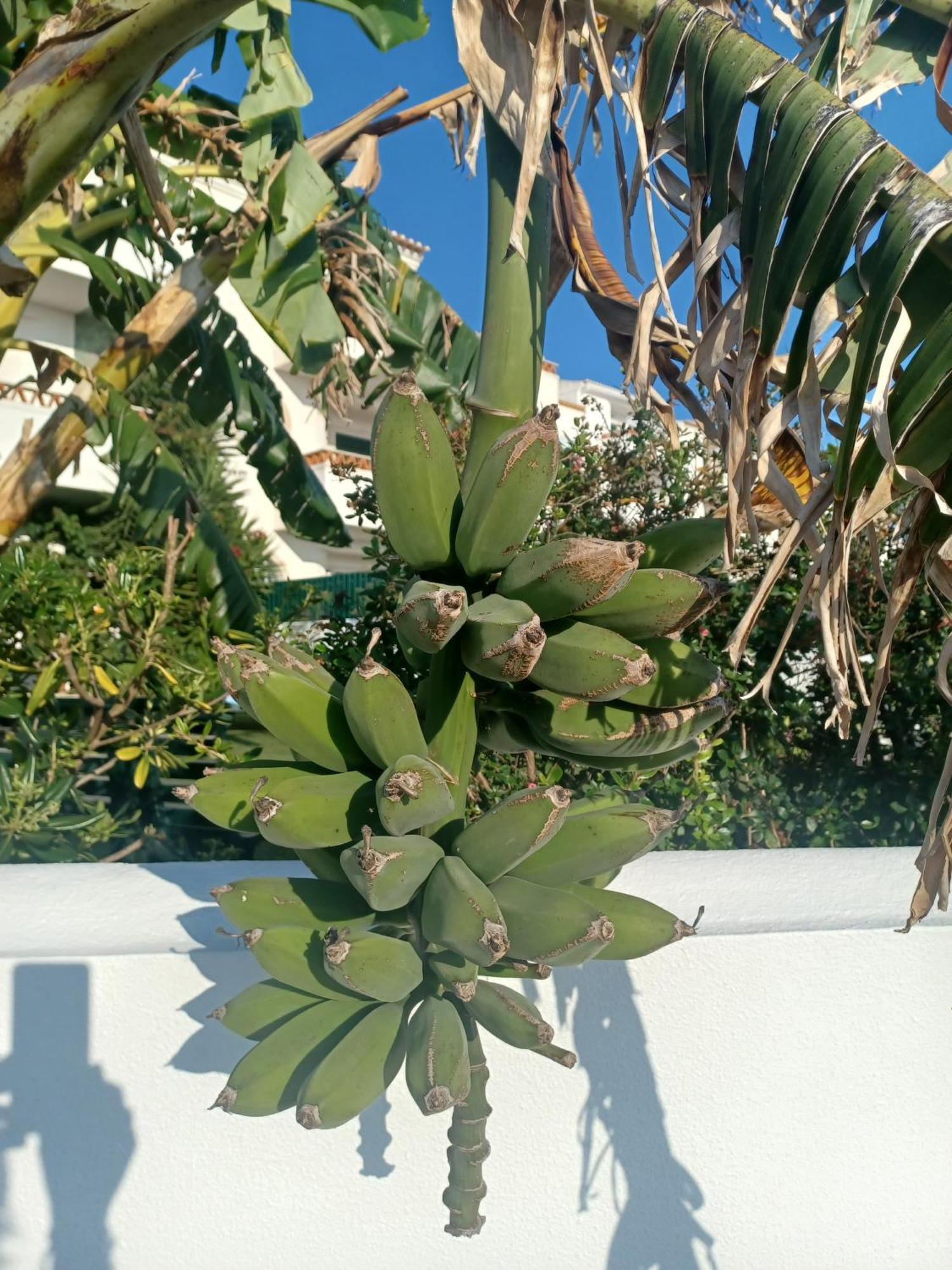 Su Villa's Ericeira