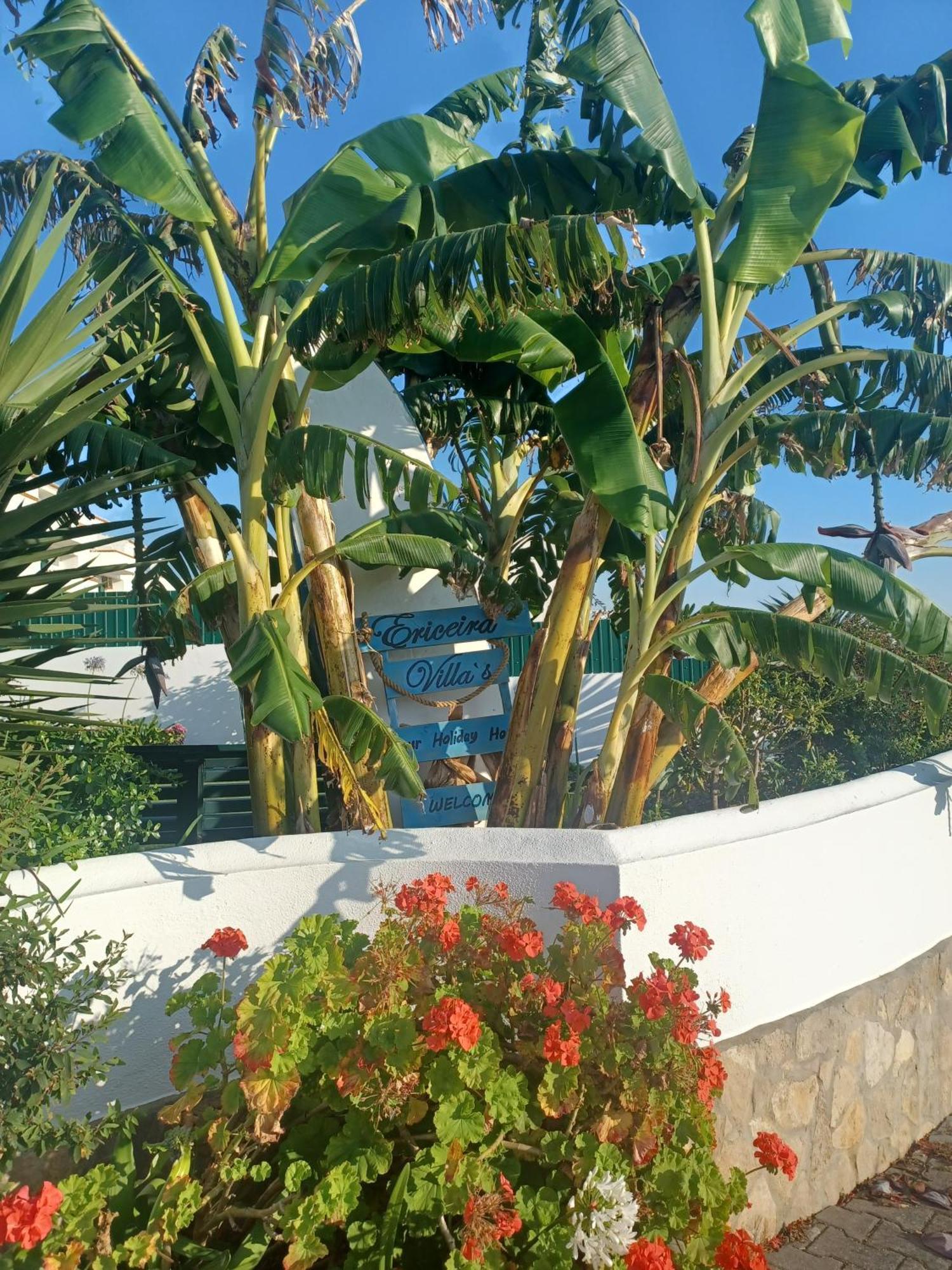 Su Villa's Apartment Ericeira