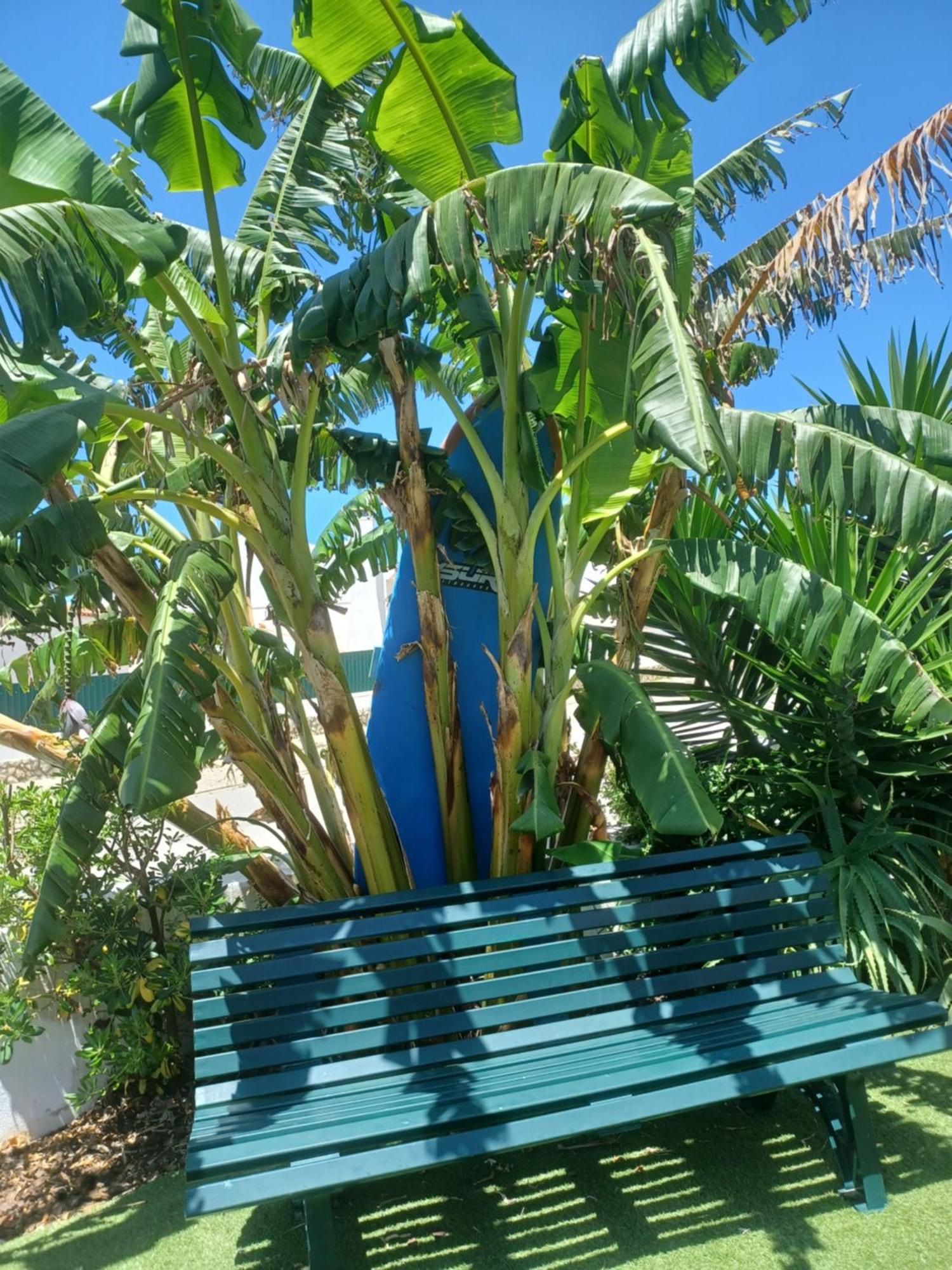Apartment Su Villa's Ericeira