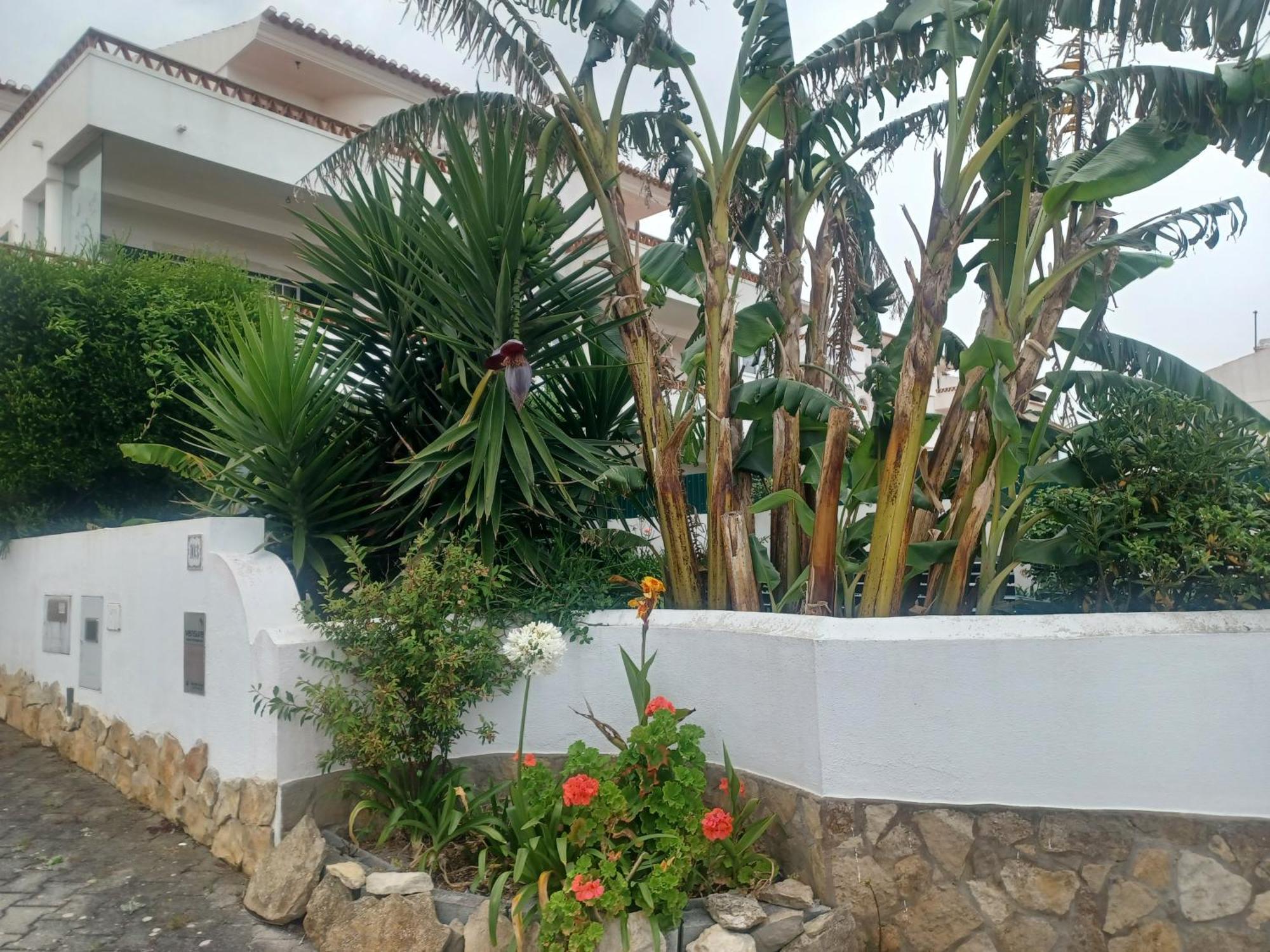 Su Villa's *